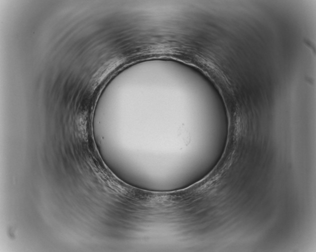 X0000100861162200807070927