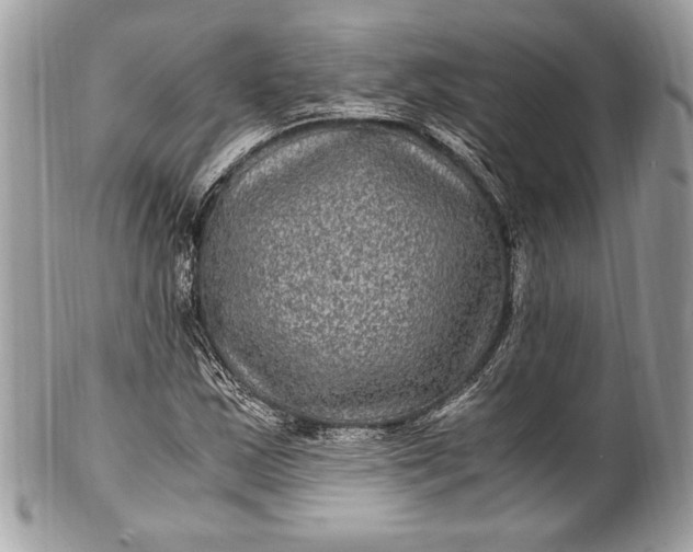 X0000100861163200807070926