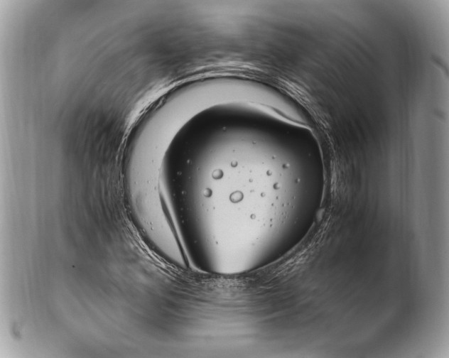 X0000100861164200807070926