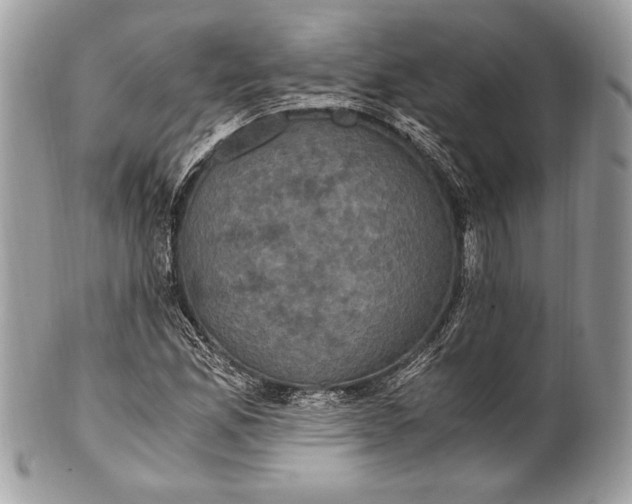 X0000100861165200807070926