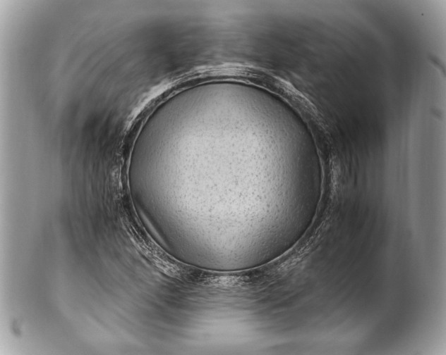 X0000100861166200807070926