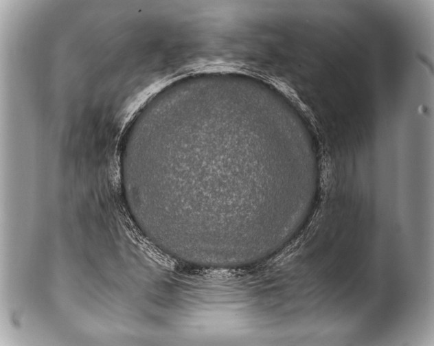 X0000100861167200807070926