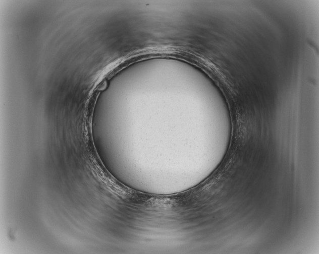 X0000100861168200807070926