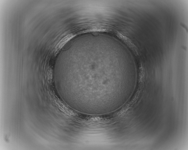 X0000100861169200807070926