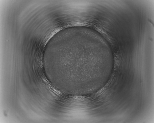 X0000100861170200807070926