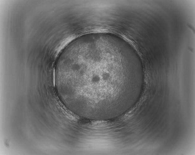 X0000100861171200807070926