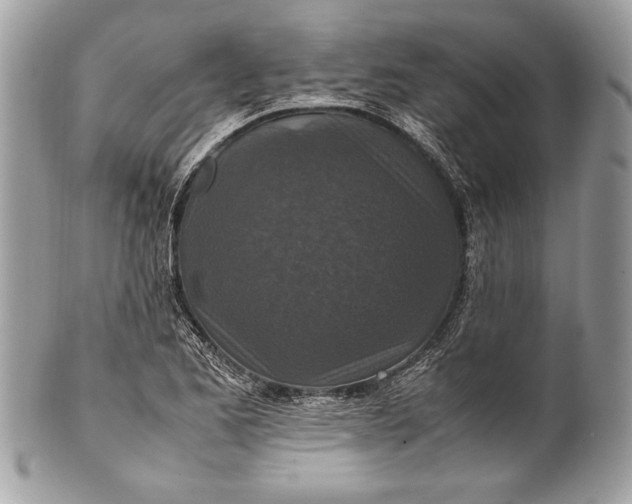 X0000100861173200807070926