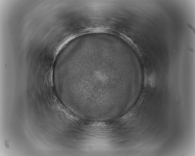 X0000100861174200807070926