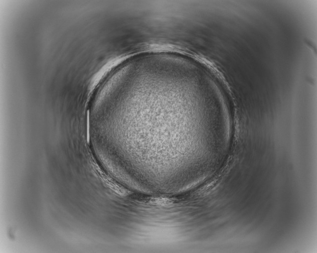 X0000100861175200807070926