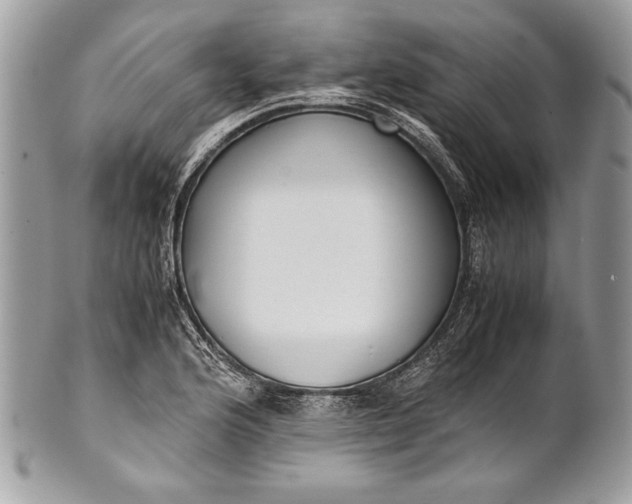 X0000100861176200807070926