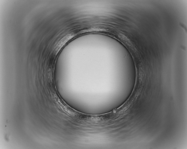 X0000100861177200807070926