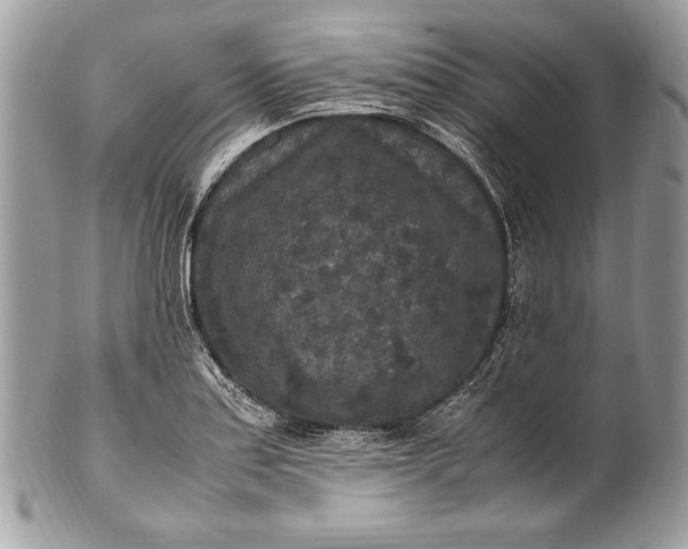 X0000100861179200807070926