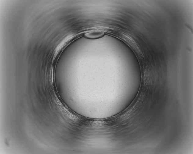 X0000100861180200807070926