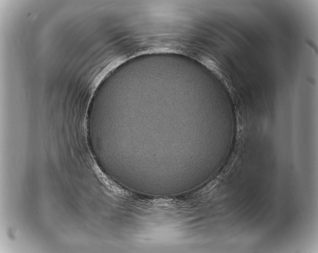 X0000100861181200807070926