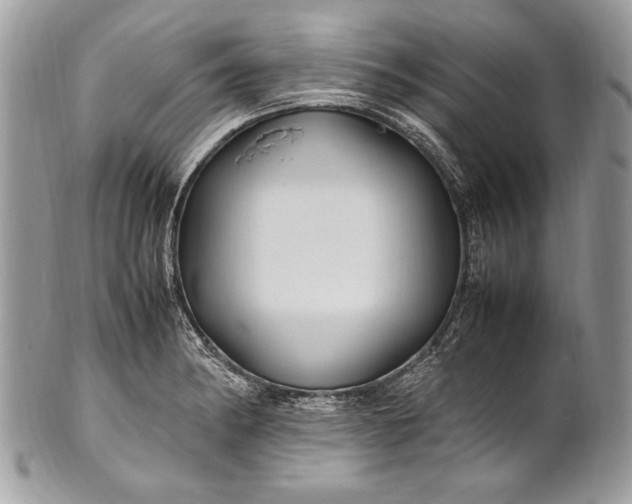 X0000100861182200807070926