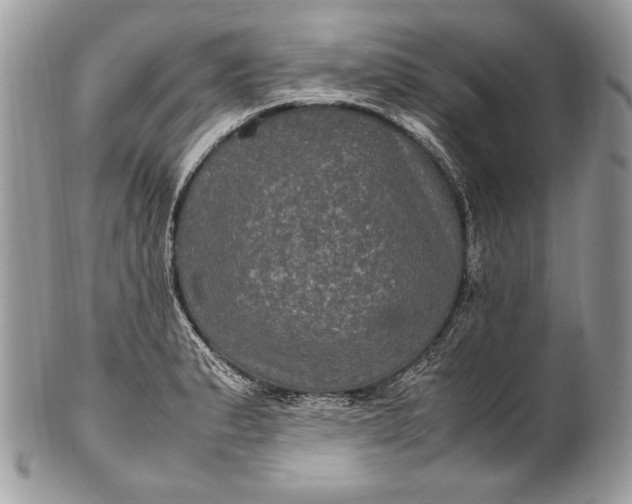 X0000100861183200807070926