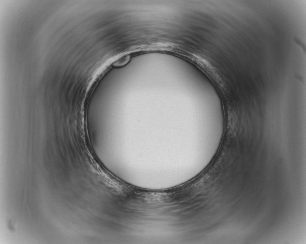 X0000100861184200807070926