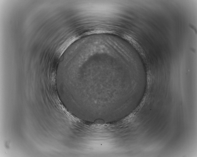 X0000100861185200807070926