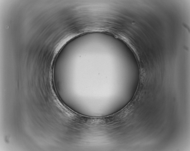 X0000100861187200807070926