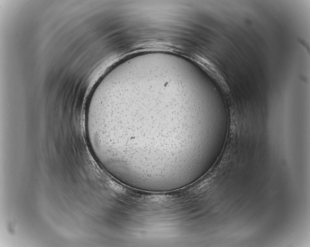 X0000100861188200807070926