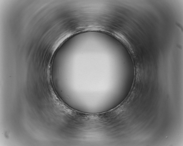 X0000100861190200807070926