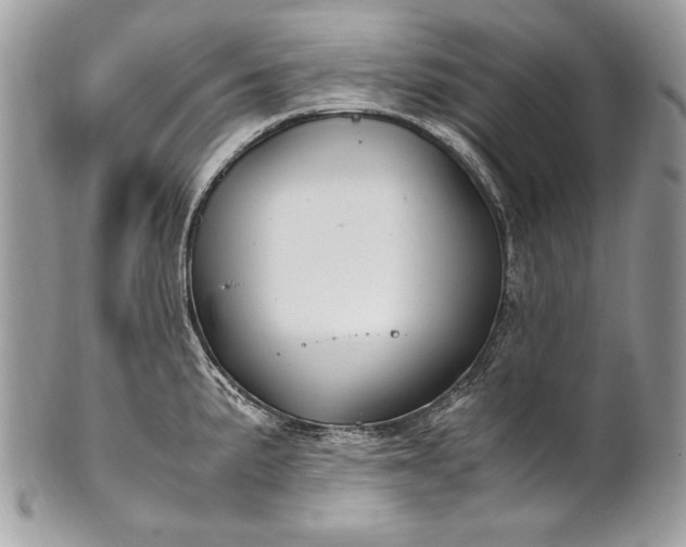 X0000100861191200807070926