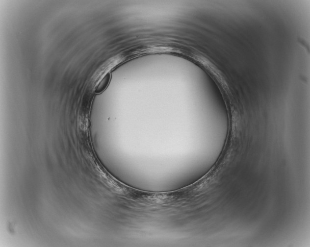 X0000100861193200807070926