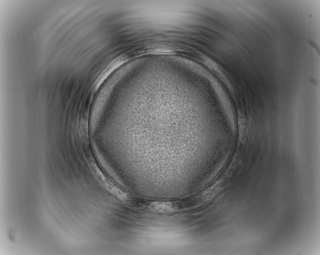 X0000100861194200807070926