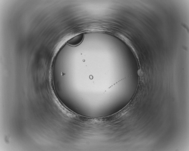 X0000100861195200807070926