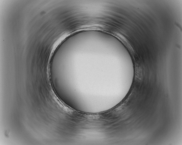 X0000100861196200807070926