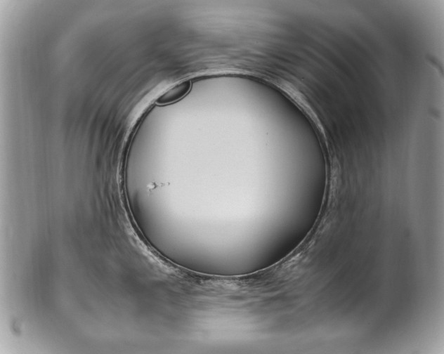 X0000100861197200807070926