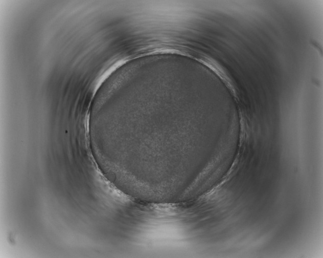 X0000100861198200807070926