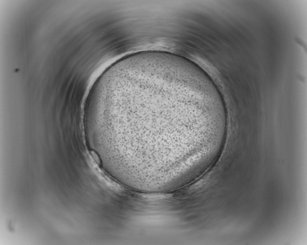 X0000100861200200807070926