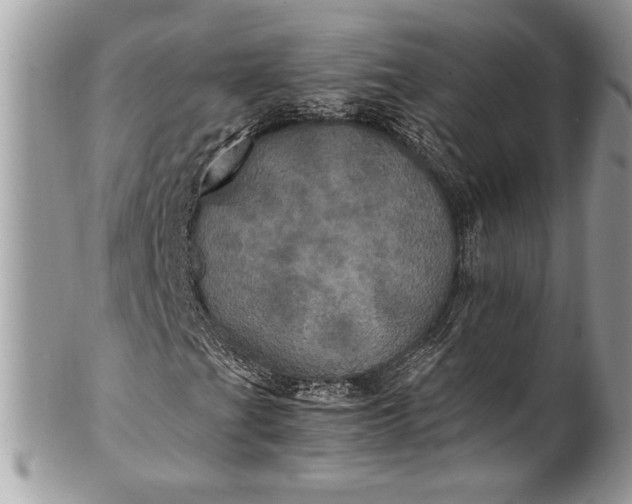 X0000100861201200807070925