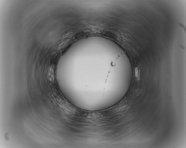 X0000100861203200807070925