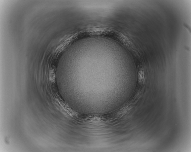 X0000100861204200807070925