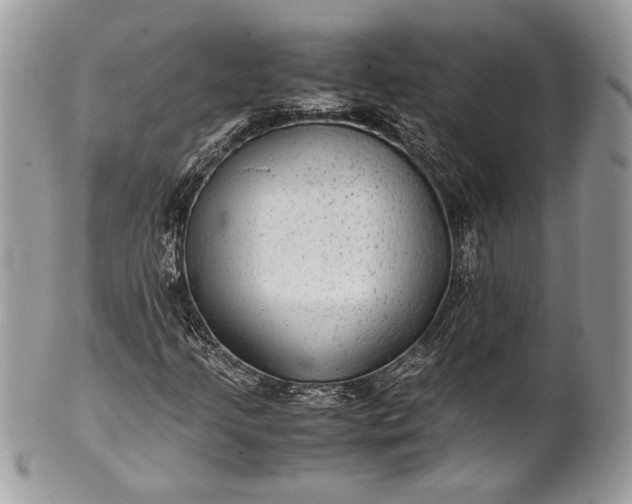 X0000100861205200807070925