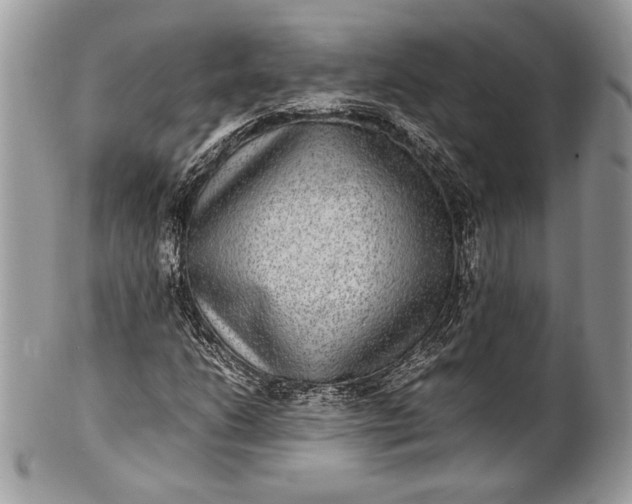 X0000100861206200807070925