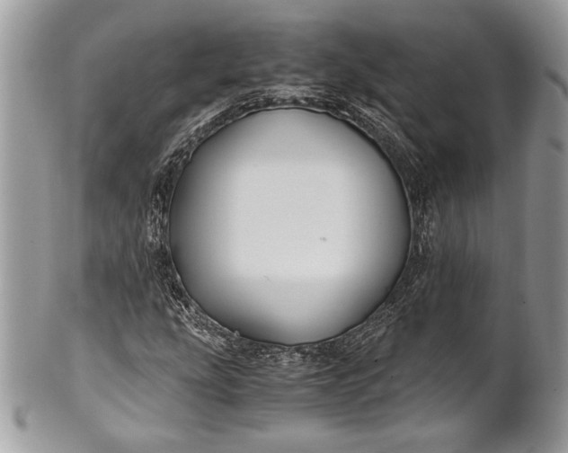 X0000100861207200807070925