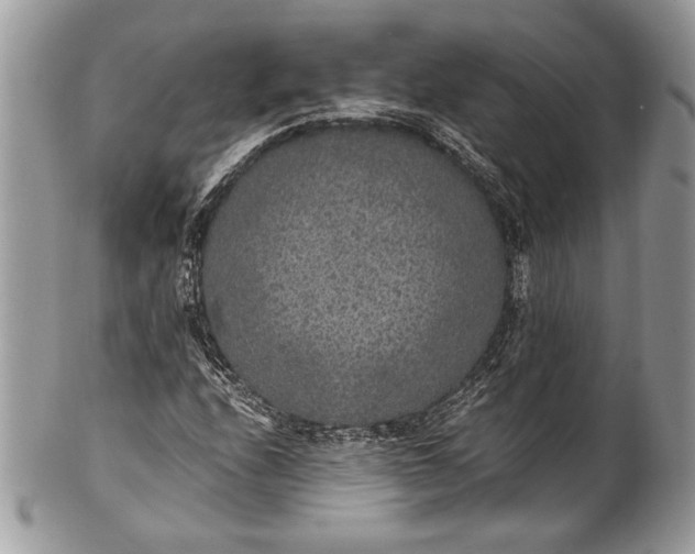 X0000100861208200807070925