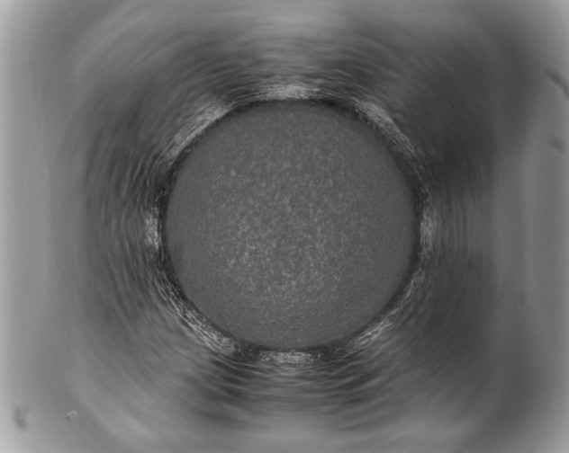 X0000100861209200807070925