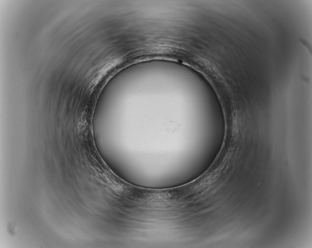 X0000100861210200807070925