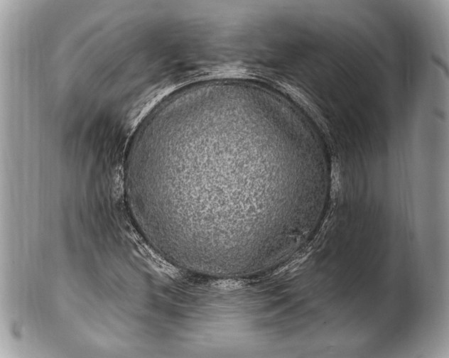 X0000100861212200807070925