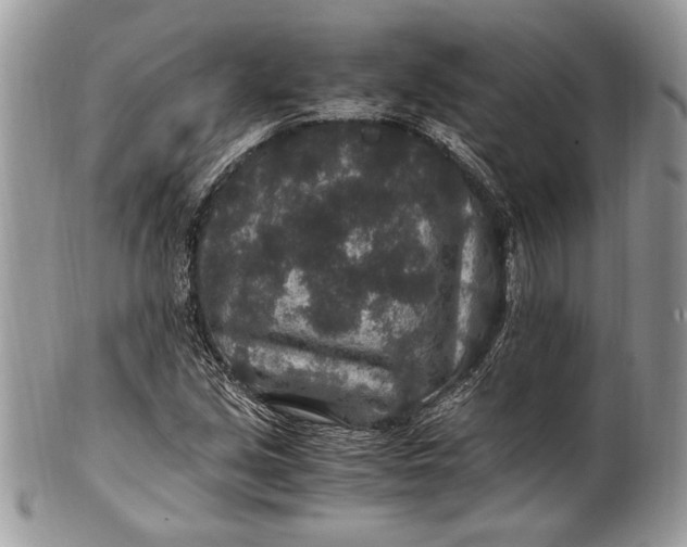 X0000100861213200807070925