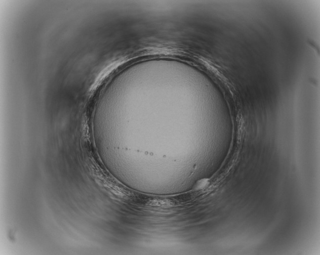 X0000100861215200807070925