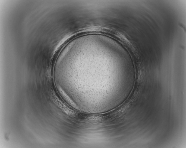 X0000100861216200807070925