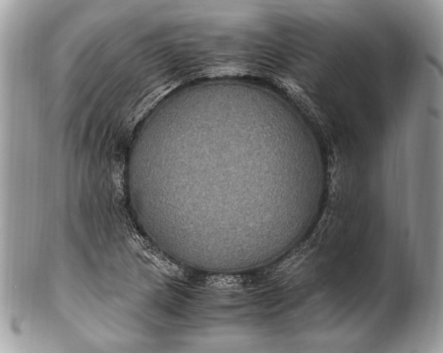 X0000100861217200807070925