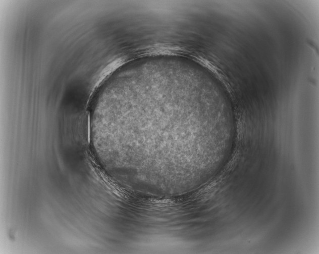 X0000100861219200807070925