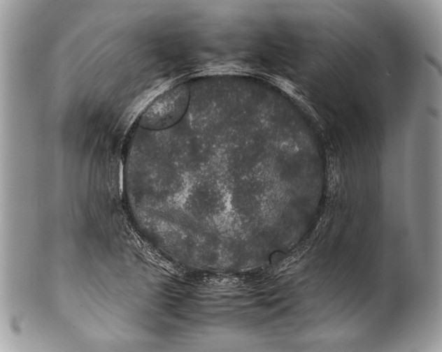 X0000100861221200807070925