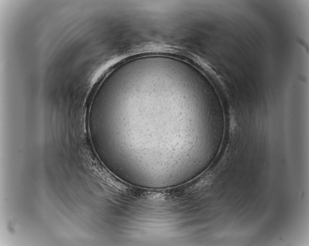 X0000100861222200807070925